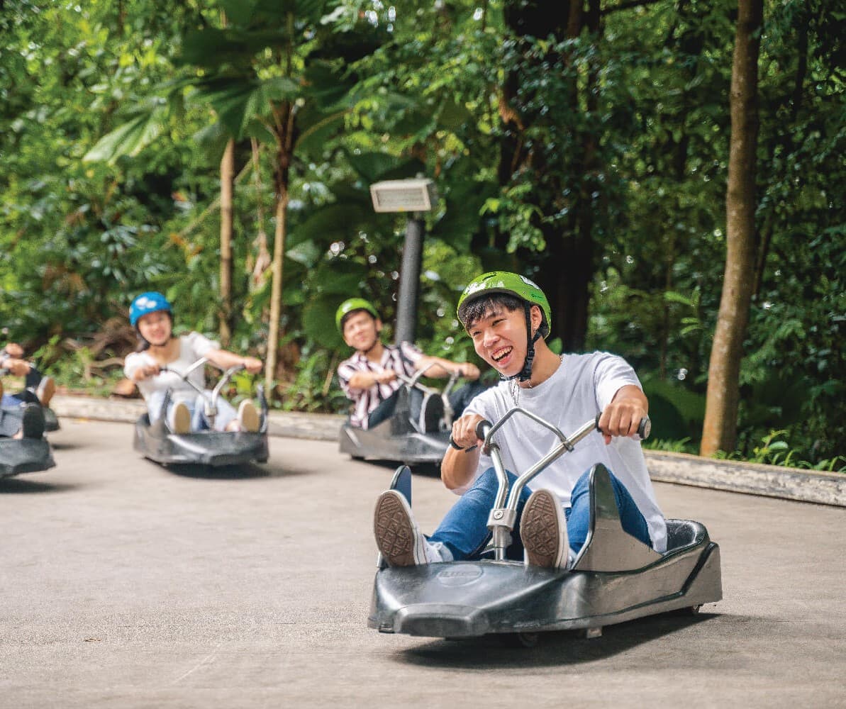 Skyline Luge